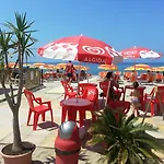 Hotel Viola Palace 4*