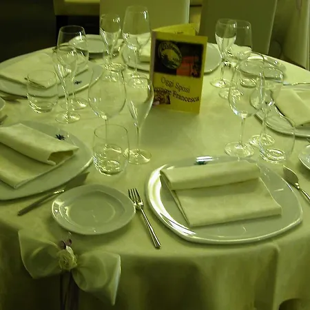 Otel Viola Palace 4*